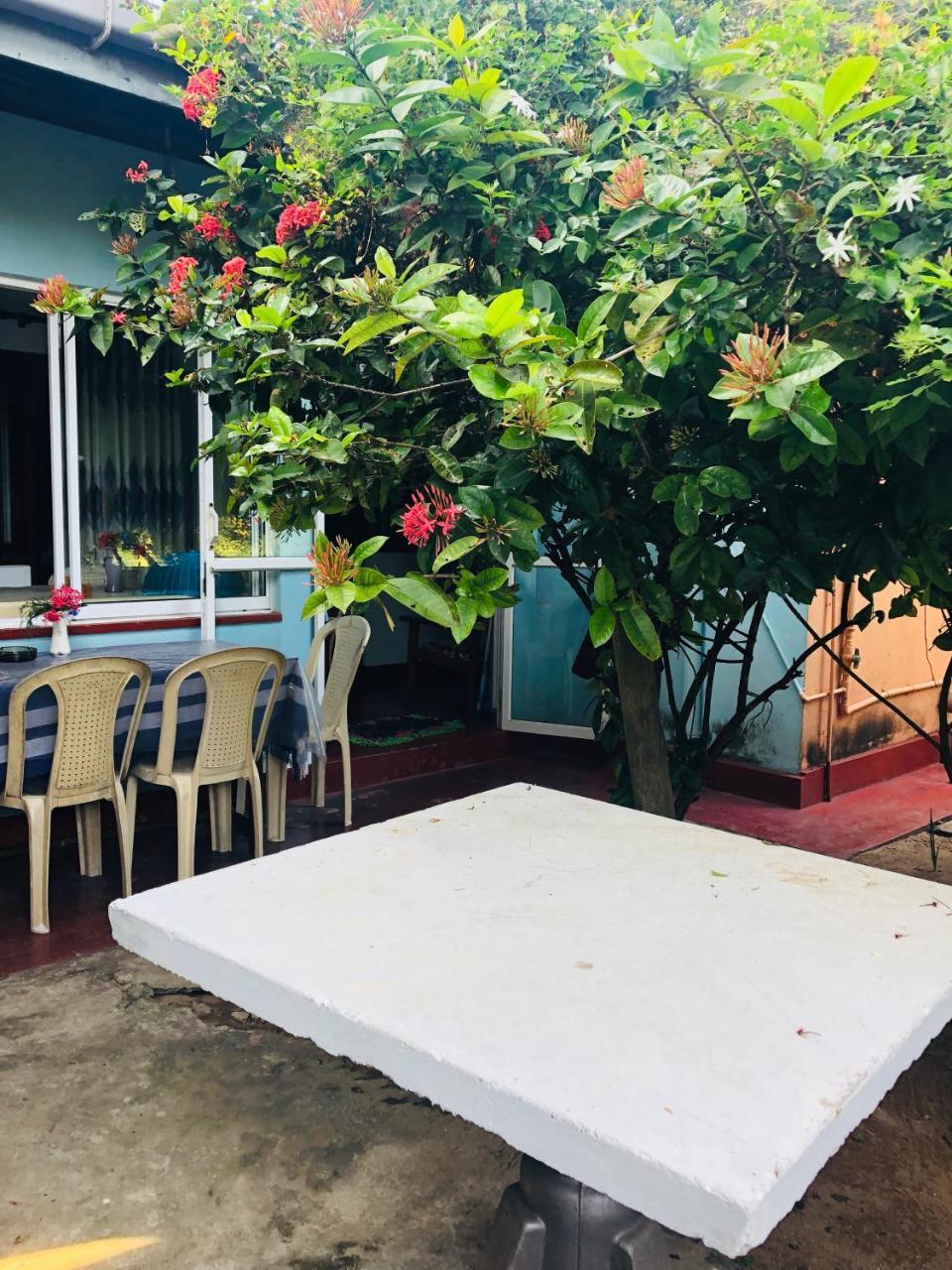 Hikkaduwa Backyard Beach Homestay 갈레 외부 사진