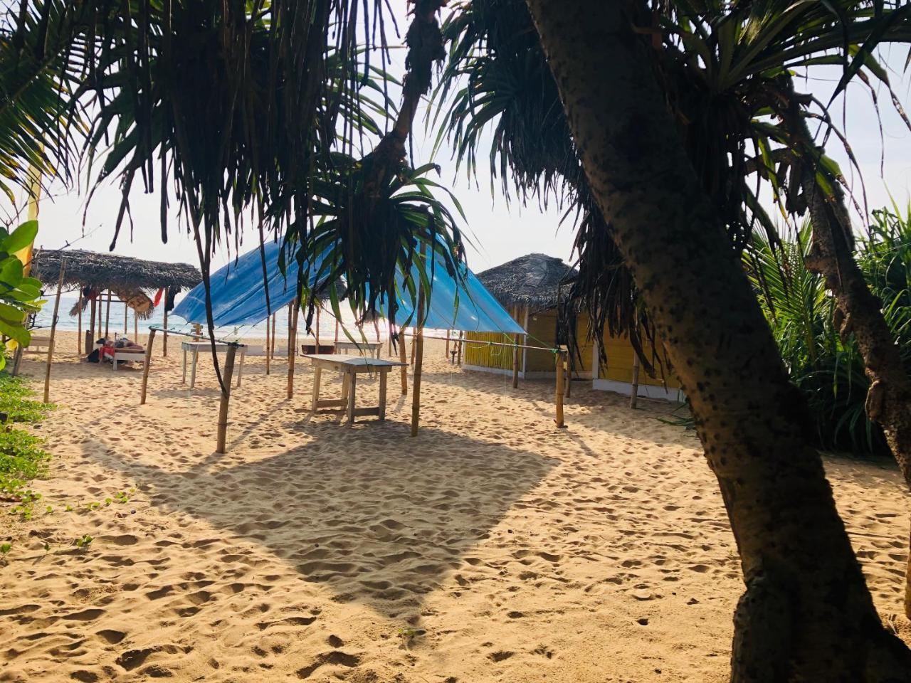 Hikkaduwa Backyard Beach Homestay 갈레 외부 사진